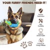 Durable Dog Toys for Aggressive Chewers - Tough Indestructible Squeak