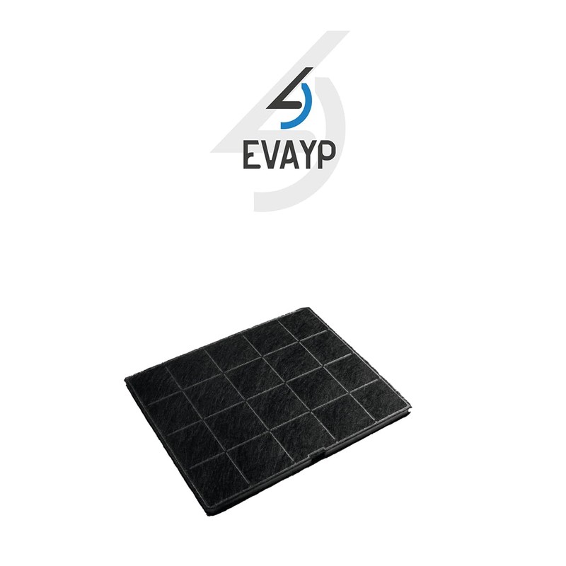 EVAYP Activated Carbon Filter, Suitable for Electrolux Zanussi 9029798767 ECFB01