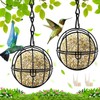 Fat Ball Feeder, 2 Pcs Black Hanging Bird Feeder, Metal
