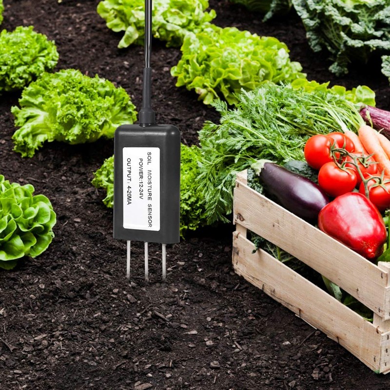 Soil Moisture Sensor, 2-in-1 Multifunctional Soil Moisture Sensor 4-20mA Temperature