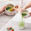 Juego de 5 piezas de matcha de alta calidad, tazn