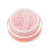 Canmake Mellow Dulip Mask 01 Clear Pink 4.0g Lip Mask