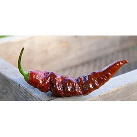 Chocolate Bhut Jolokia Heirloom Ghost Pepper Premium Seed Packet + More