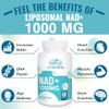 Maripolio- Suplemento liposmico NAD 1000 mg Pontecy NAD ms alto