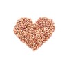 Hunza Organic Cranberry Beans (2 lbs)