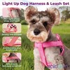 Light Up Dog Harness & Leash with 3 Light Modes