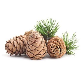 Cedarwood Essential Oil Soapeauty Glass Bottle 0.5 OZ 1 OZ (1 OZ (30 ML) Euro Dropper)