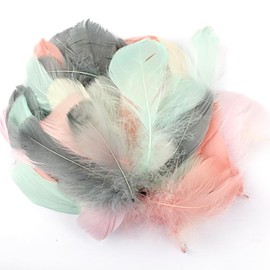300Pcs Feathers for Crafts, GLADFRESIT Colorful Feathers Natural Goose Feathers, Fluffy Feathers for DIY Crafting Box Filling Decoration (Morandi)