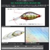 Issei Issey G.C. Kanehira Shad 46MR-SP #07 Kinkro Bass Lure