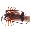 Neko Kamiyama, Spiny Lobster, Sea Life Figurine, Miniature, Figurine, Interior