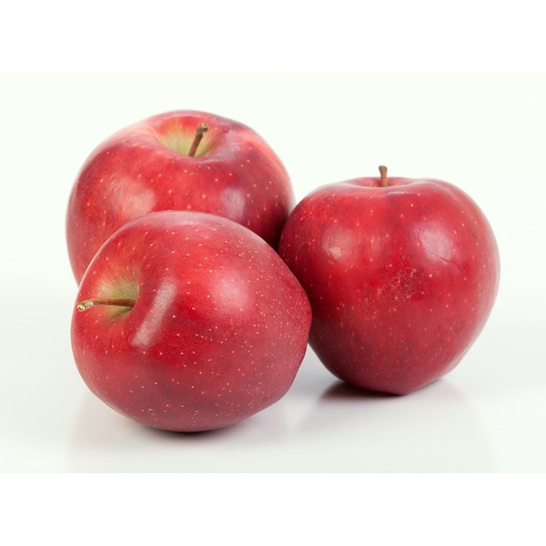 Kauffman Orchards Fresh-Picked Red Delicious Apples (Box of 16)
