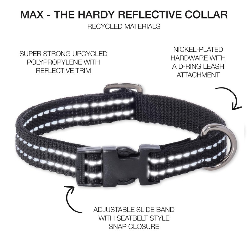 Pet Passion Adjustable Reflective Dog Pet Collar for Small, Medium