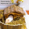 Hamiledyi Hamster Hideout Wooden Hamster House and Bridge with Windows