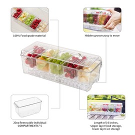 beehomay Ice Chilled Condiment，Chilled Condiment Containers Cadddy，Serving Platters with Lid for 5 Removable Compartments,Set of 5 Serving Spoons & 2 Clips ncluded (Clear, with a whole lid)