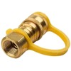 Hiland DH22+QH1 20' Natural Gas Hose 60,000 BTU Capacity, One