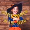 Cutest Pumpkin in The Patch Banner Gold Glitter- Little Pumpkin