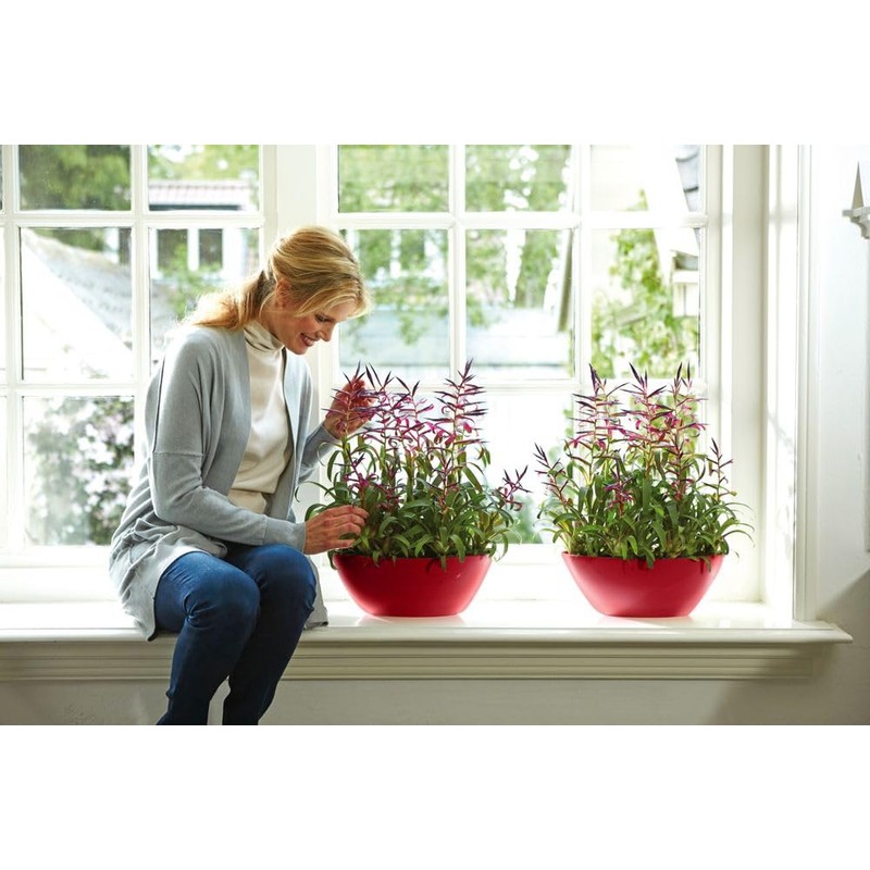 elho Brussels Diamond Oval 36 - Flower Pot for Indoor