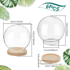 NBEADS 6 Pcs Mini Round Glass Dome, Clear Glass Display Dome Cover with Wood Base Cloche Bell Jar for Centerpieces Plants Rocks Specimens Decorations Crafts, Diameter: 4cm BurlyWood