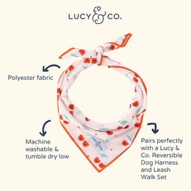 Lucy & Co. Cheery Cherries Bandana - Durable Comfortable Dog Bandana - Designer Puppy Accessory - Machine Washable - Large - Red Gingham Cherries