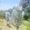 13x13Ft Extra Large Tree Netting for Fruit Trees Keep Birds