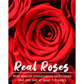 Changshunqi Forever Flowers, Fresh Preserved Roses in a Box, Eternal Rose Flowers for Delivery, Forever Preserved Roses Gifts for Her Mother Women Wife Mothers Birthday Christmas Valentines Day