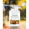 WellScience GoldenHeal Blend: Immune Support, Anti-Inflammatory, and Digestive Health -