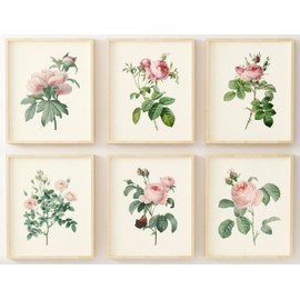 Vintage Pink Roses Botanical Prints - Flower Wall Art - Floral Decor - Rose Pictures - Floral Prints for Bedroom or Bathroom - (Set of 6) - Unframed - Prints Made Perfect (Cream Background, 5x7)