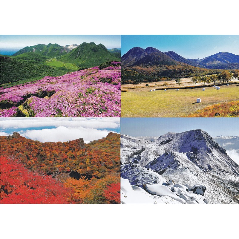 Aya Shikiyama Kujuyanama Postcard Collection