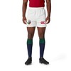 British & Irish Lions Men's Canterbury 2025 Replica Match Rugby