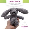 Thermal-Aid Zoo Mini — (Baxter the Bunny) — Mold-Resistant, Washable