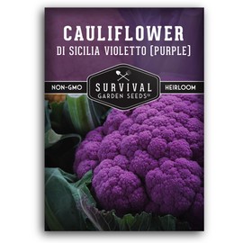 Purple Cauliflower Seeds for Planting – Violetto di Sicilia – Heirloom Italian Cauliflower Variety Producing Deep Violet Heads - Non-GMO, Open-Pollinated - Survival Garden Seeds (1 Pack)