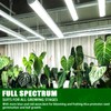 F24T5/865 6 Pack 22 Inch T5 Fluorescent Grow Light Bulbs,