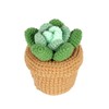 Finnacy Crochet Kit for Beginners Adults,Potted Succulent Plant Crochet Storage