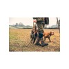 JACK PYKE Foldable Game Bird Carrier - Lightweight Plastic Hunting