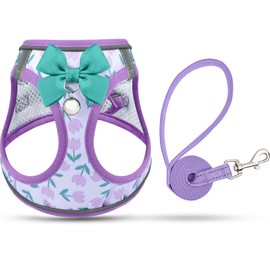 SALFSE Cat Harness and Leash Escape Proof for Walking, Adjustable Soft Kitten Harness with Reflective Straps Step in Cat Vest Harness for Small Kitten and XS Dogs (Purple, XS-Chest(10.2"-11.8"))