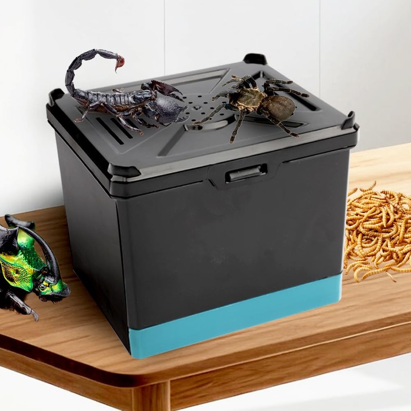 Spider Cage Manti Feeding Box Reptile Mealworms Breeding Box to