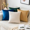 EMEMA Velvet Cushion Cover Decorative Cushion Cover Sofa Cushion Lumbar