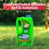 JOYIN 2 Bottles Bubbles Refill Solutions 64 oz (up to
