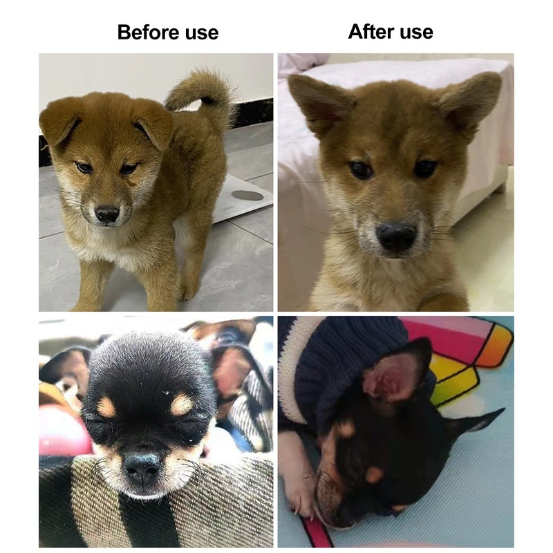 1 Pair Dog Ear Support Patch Dog Ears Stand Sticker