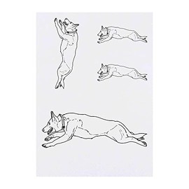 4 x 'Running German Shepherd' Temporary Tattoos - Water Resistant, Skin-Safe, Non-Toxic Transfers, Mixed Sizes (TO00051875)