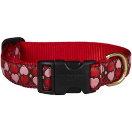 Up Country Valentine and Hearts Pattern Dog Collars and Leashes (All Hearts Dog Collar, Large (15 to 21 inches) 1 Inch Wide Width)