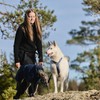 Non-stop dogwear Line Harness 5.0 |214| Guide and Everyday Harness,