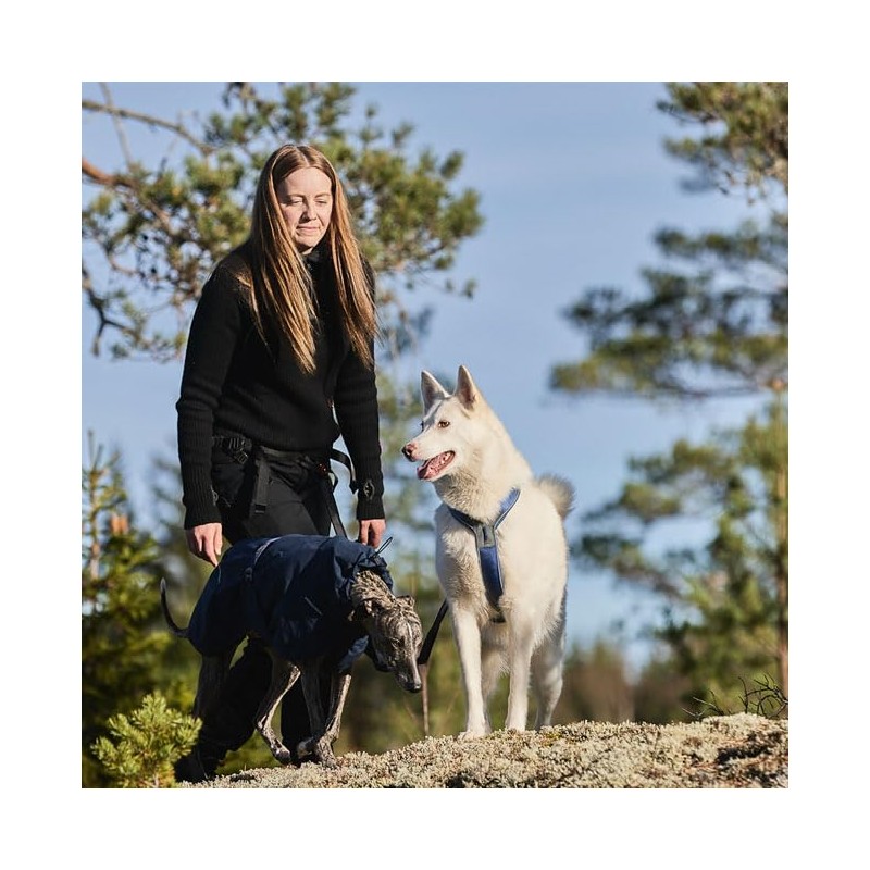 Non-stop dogwear Line Harness 5.0 |214| Guide and Everyday Harness,
