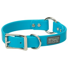 Terrain D.O.G. Brahma Webb Hunting Dog Collar, 1" x 19", Hurricane Blue