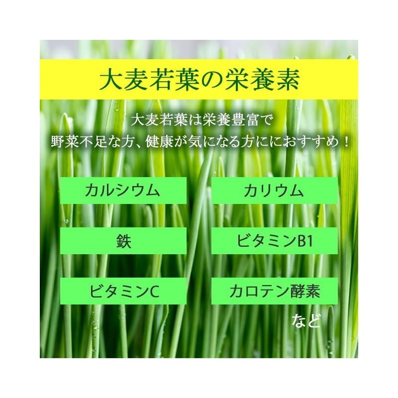 Lipsa T-611-2 Barley Grass Grain (Approx. 3 Month Supply x