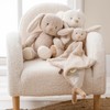 Nattou Teddy - DouDou Maxi Bunny Comforter, Soft Cuddly, Baby