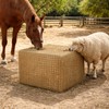 iaodia 4x4 ft Slow Hay Net Feeder for Horses, Durable