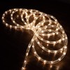 WYZworks 20 feet Warm White LED Extendable Rope Lights -