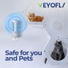 VEYOFLY Fruit Fly Traps for Indoors, Fly Trap Indoor, (2