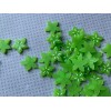 12pc Micro Miniature Star Fruit, Resin Flatback, Fruit, Cabochon, Flat